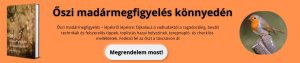 Őszi madármegfigyelés1