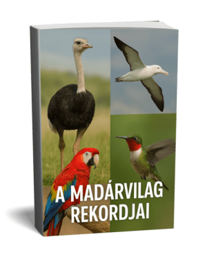 a madárvilág rekordjai
