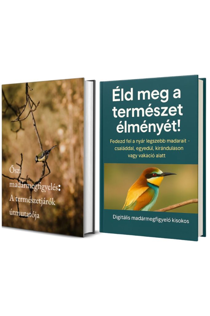 Őszi + Nyári madármegfigyelés e-book csomag