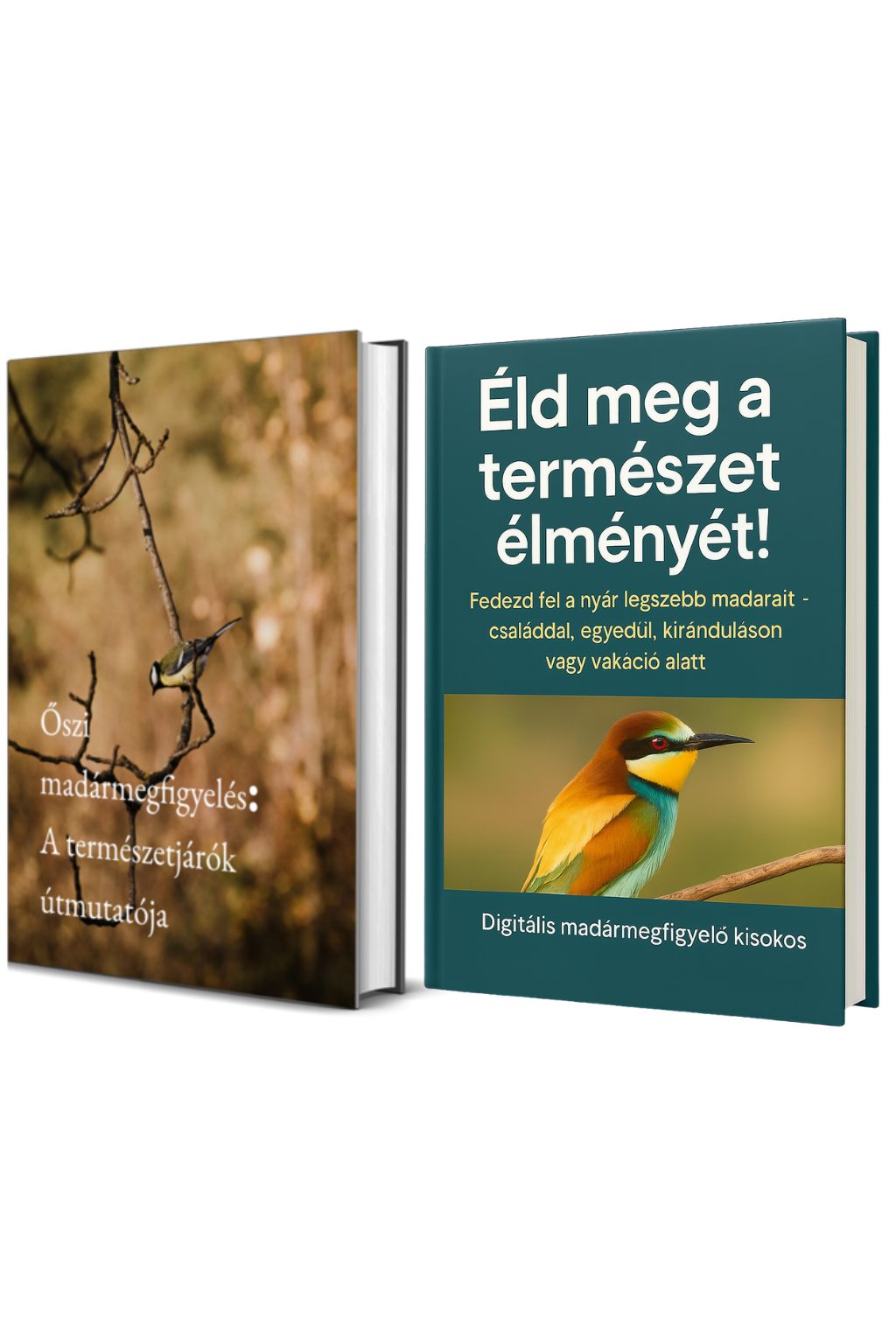 Őszi és nyári madármegfigyelés e-book csomag