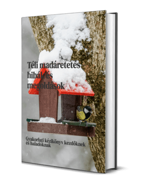 téli madáretetés