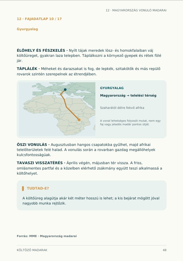 Költöző madarak Magyarországon – A madárvonulás titkai | e-book - Image 3
